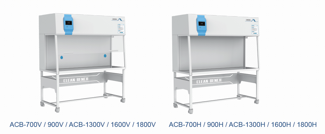 Изображение_20240812112604