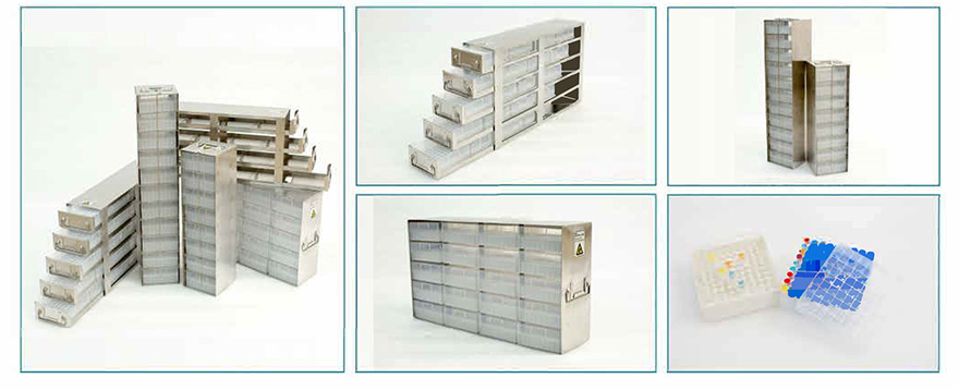 Изображение_20240403151134