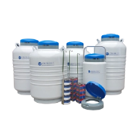 Понимание жидких контейнеров азота: ключевые функции и применение